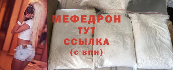 спиды Ельня