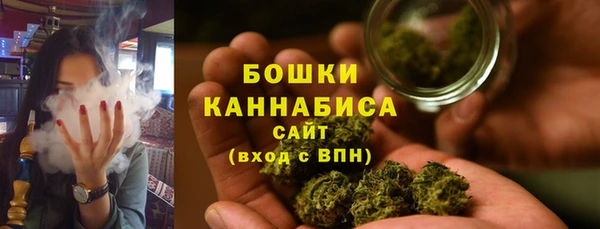 бошки Осинники