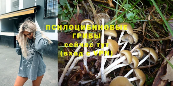 бошки Осинники