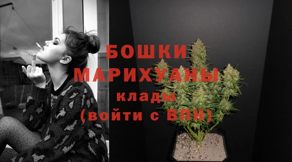 бошки Осинники